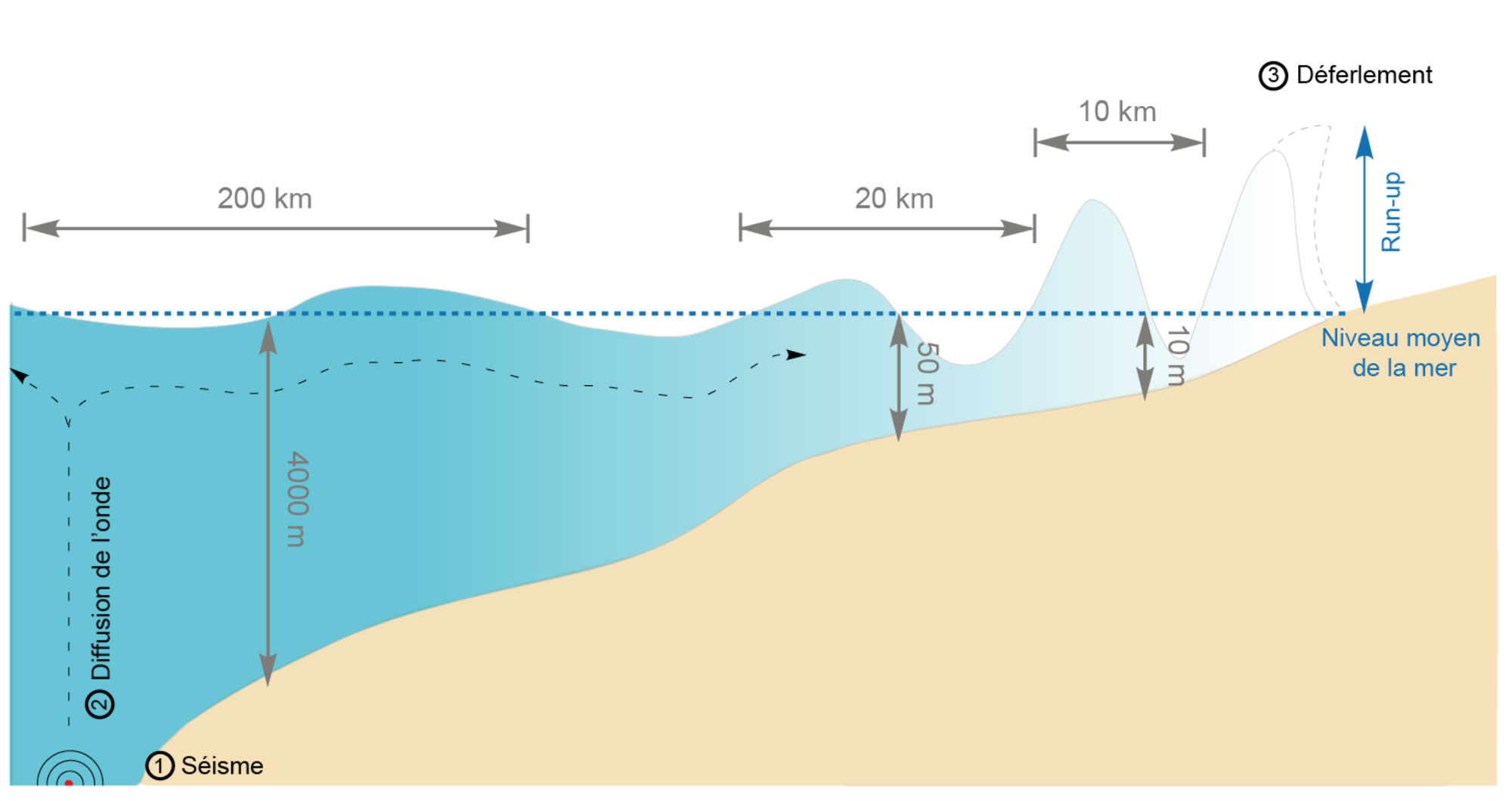 Schéma - Dynamique de création d'un tsunami à l'approche des côtes.
